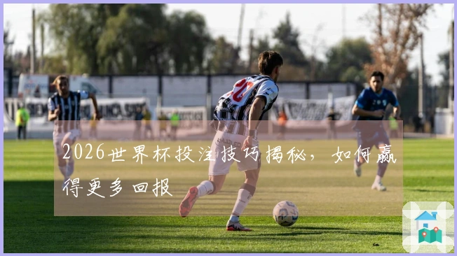 2026世界杯投注技巧揭秘，如何赢得更多回报