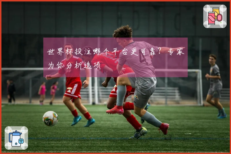 世界杯投注哪个平台更可靠?专家为你分析选项