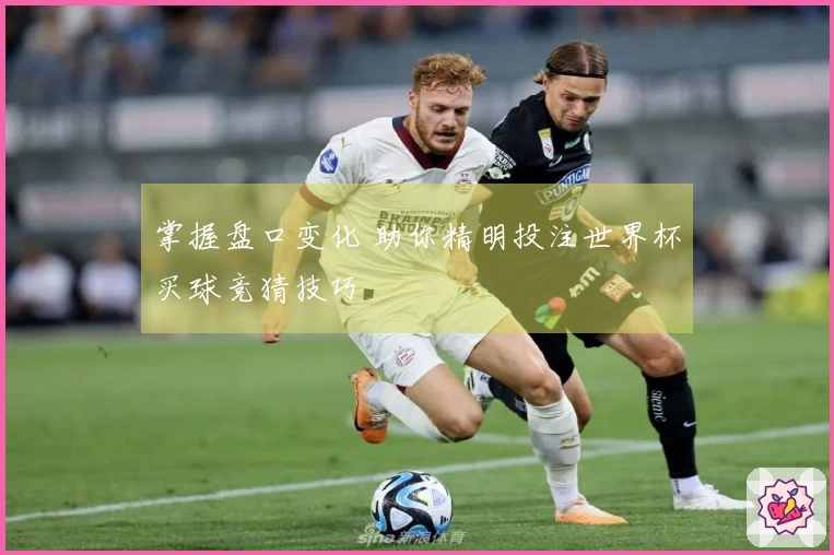 掌握盘口变化 助你精明投注世界杯买球竞猜技巧
