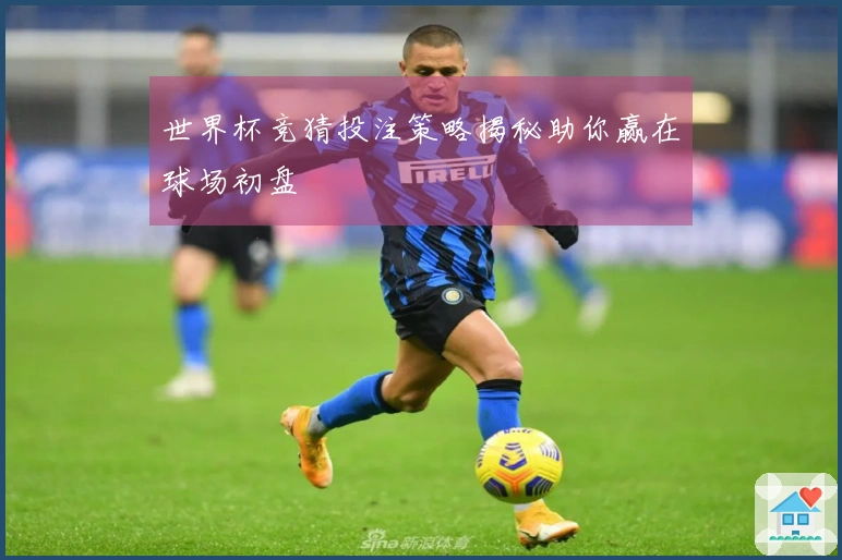 世界杯竞猜投注策略揭秘助你赢在球场初盘