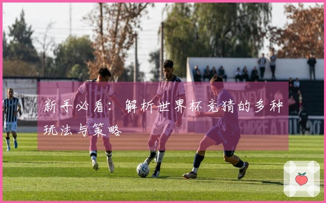 新手必看：解析世界杯竞猜的多种玩法与策略