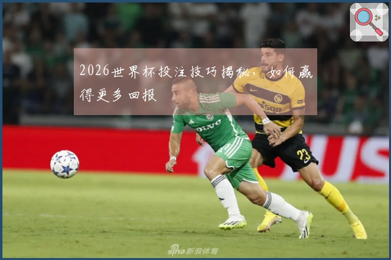 2026世界杯投注技巧揭秘,如何赢得更多回报