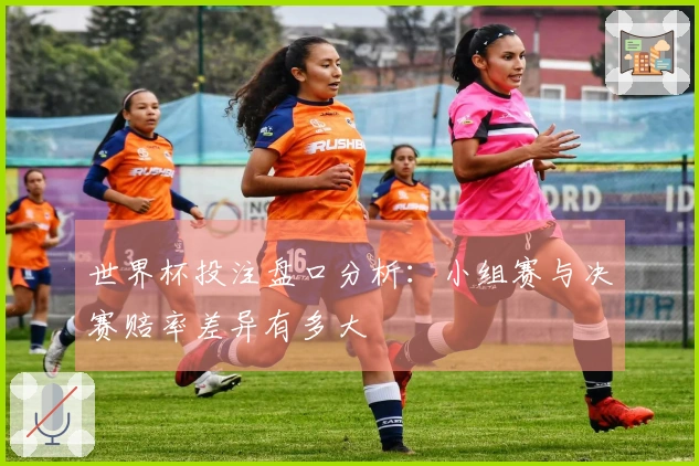 世界杯投注盘口分析：小组赛与决赛赔率差异有多大