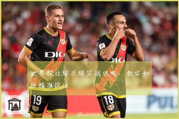 世界杯让球买球实战攻略，教你如何精准投注