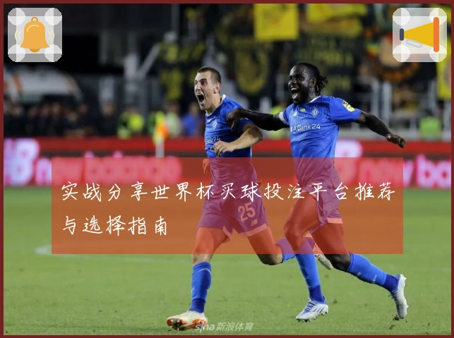 实战分享世界杯买球投注平台推荐与选择指南