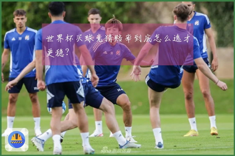 世界杯买球竞猜赔率到底怎么选才更稳？