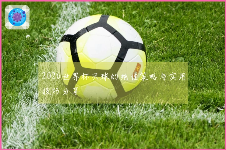2026世界杯买球的绝佳策略与实用技巧分享
