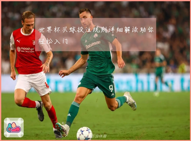 世界杯买球投注规则详细解读助你轻松入门
