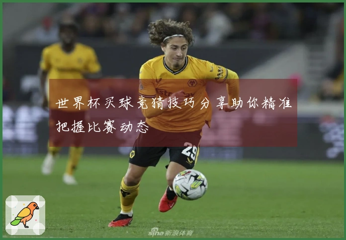 世界杯买球竞猜技巧分享助你精准把握比赛动态