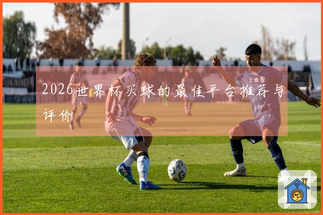 2026世界杯买球的最佳平台推荐与评价