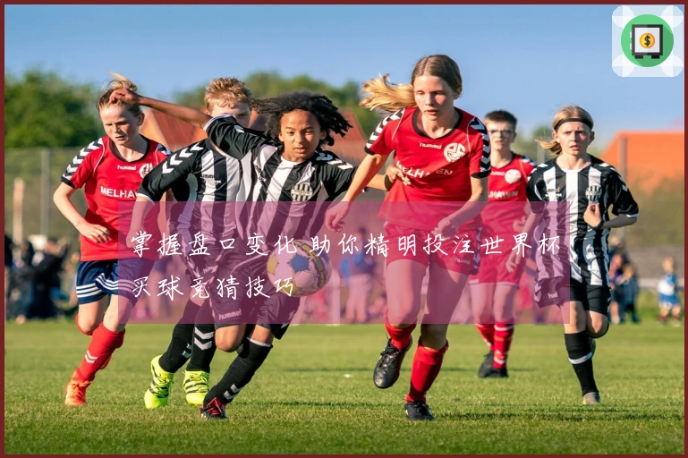 掌握盘口变化 助你精明投注世界杯买球竞猜技巧