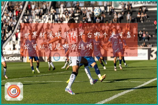 世界杯滚球买球平台哪个更可靠，你可以考虑哪些选项