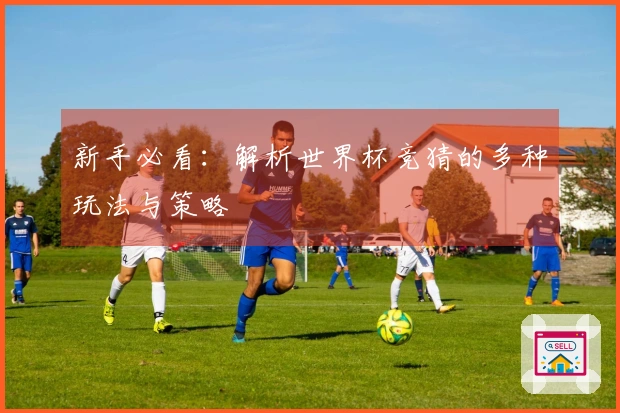 新手必看：解析世界杯竞猜的多种玩法与策略