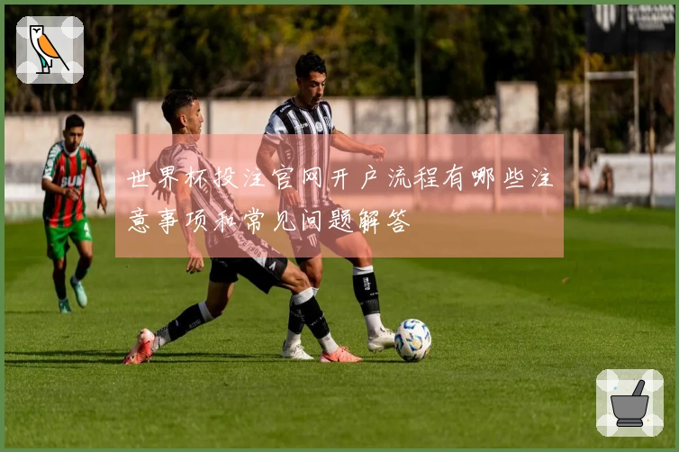 世界杯投注官网开户流程有哪些注意事项和常见问题解答