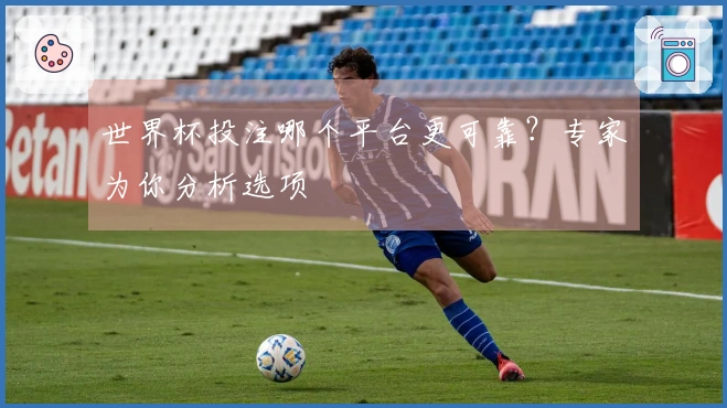 世界杯投注哪个平台更可靠？专家为你分析选项