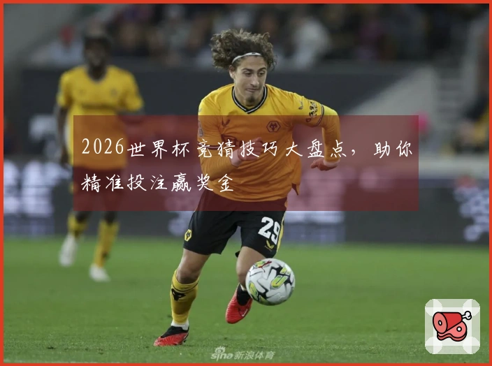 2026世界杯竞猜技巧大盘点，助你精准投注赢奖金
